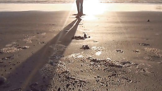 California Beach Feet  Free Videos - Watch, Download and Enjoy  California Beach Feet