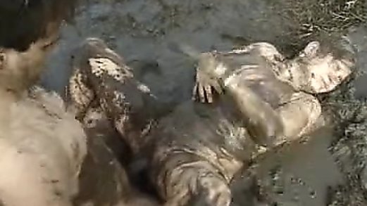 Wam Mud Fucked  Free Sex Videos - Watch Beautiful and Exciting  Wam Mud Fucked  Porn