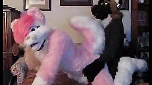 Two Guys In Fursuits Having Sex