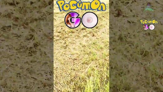 Pokemon Anime Porn Free Videos - Watch, Download and Enjoy Pokemon Anime Porn