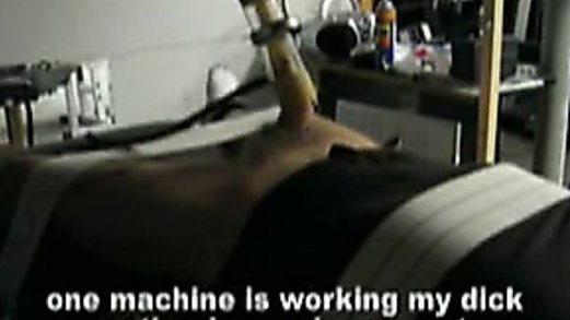 Venus milking machine 2