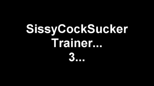Sissy Cocksucking Training Video