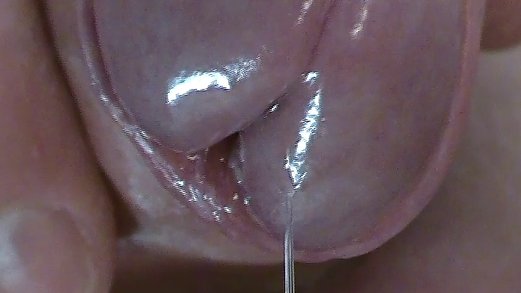 Drooling Pre-Cum from Uncut Cock, Extreme Close-Up