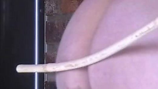Bare Bottom Caning