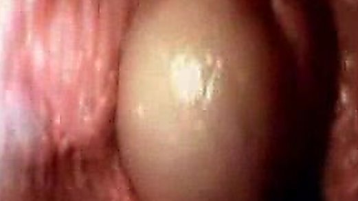 Cum inside a vagina