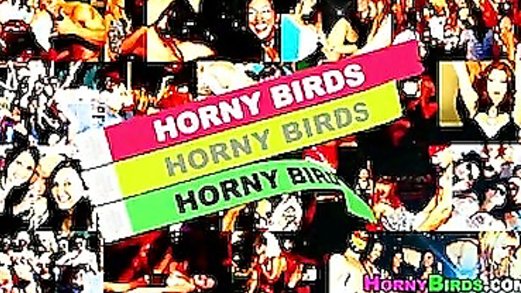 horny birds party xxx