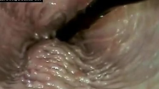 sex from inside the vagina
